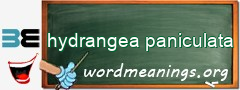 WordMeaning blackboard for hydrangea paniculata